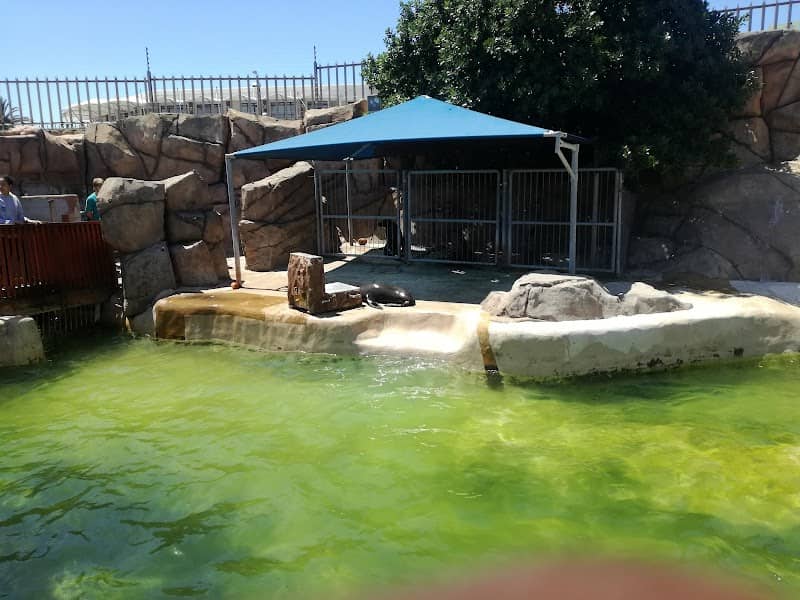 Bayworld - Image 2