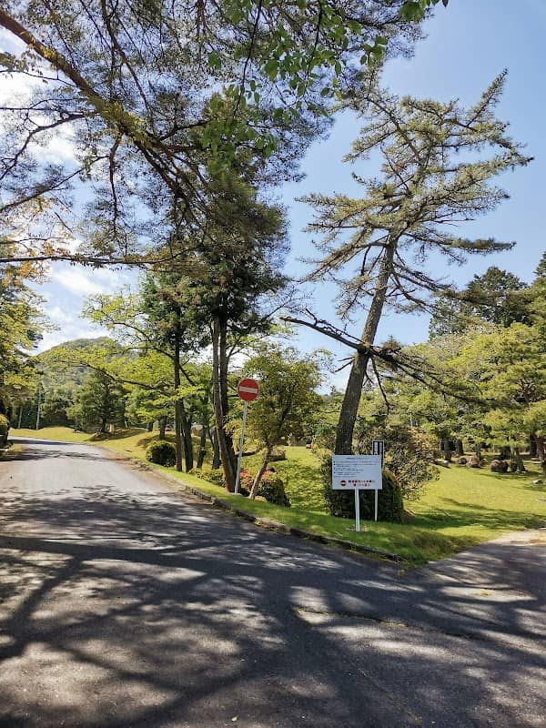 Asebo Pass - Image 1
