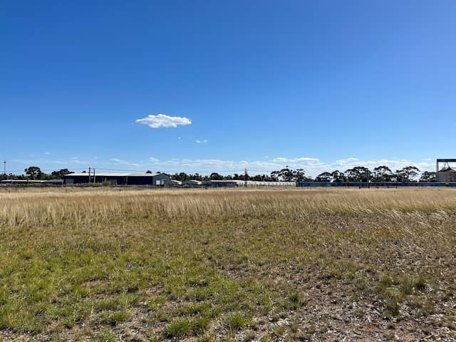 Braybrook Grasslands - Image 1