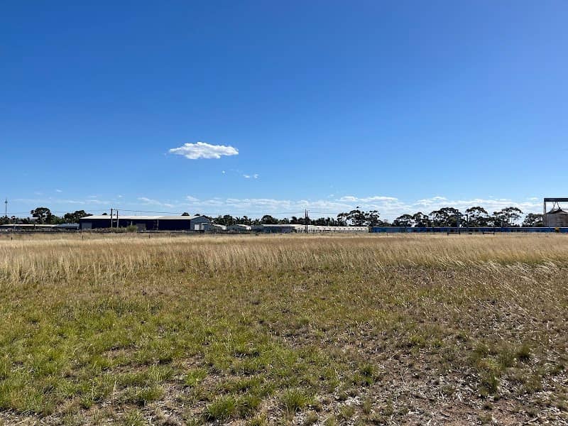 Braybrook Grasslands - Image 1