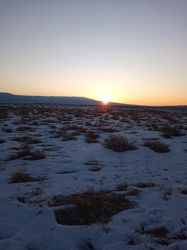 The Spanish Trail - Image 2
