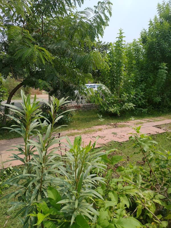 Park Eta-I - Image 1