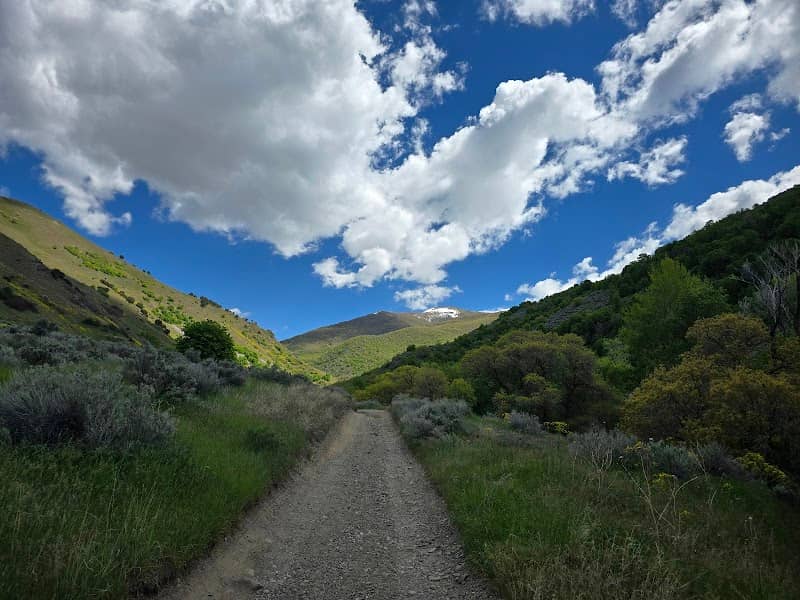 Perry Canyon Trail Turnaround - Image 1