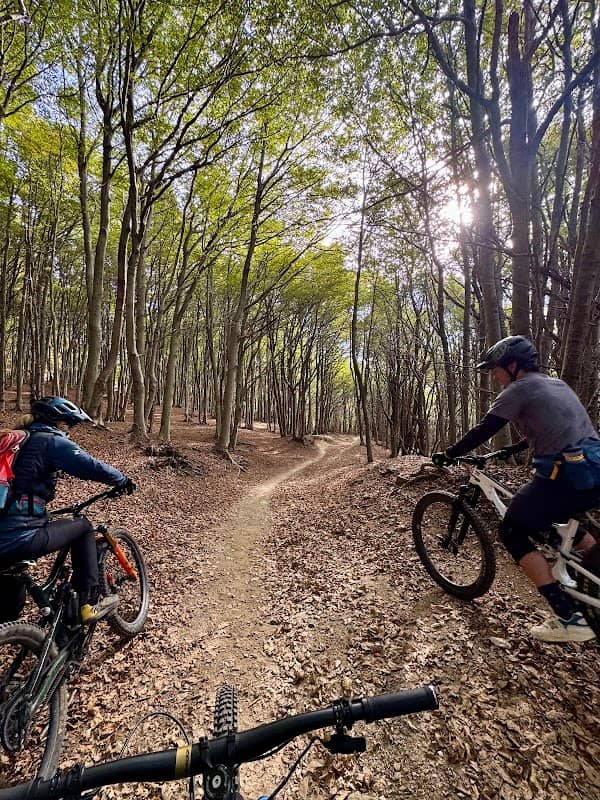 MTB Skills Finale - Image 3