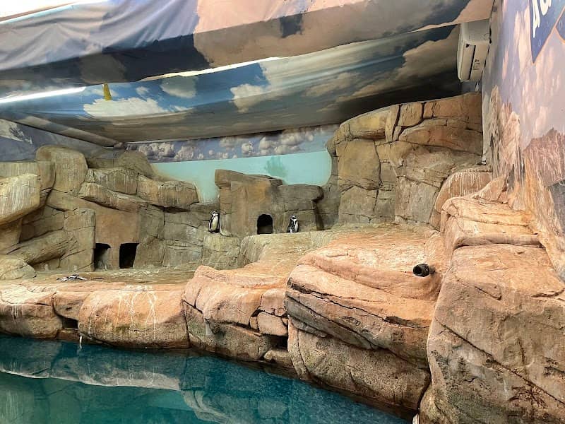 Ocean Aquarium - Image 1