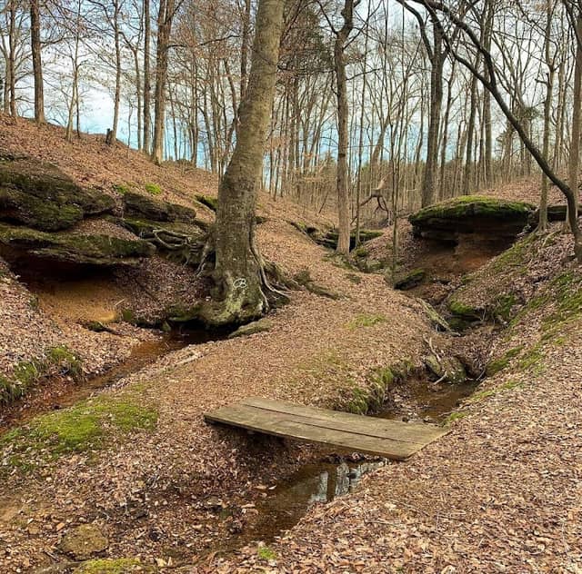 Hale Springs - Image 1