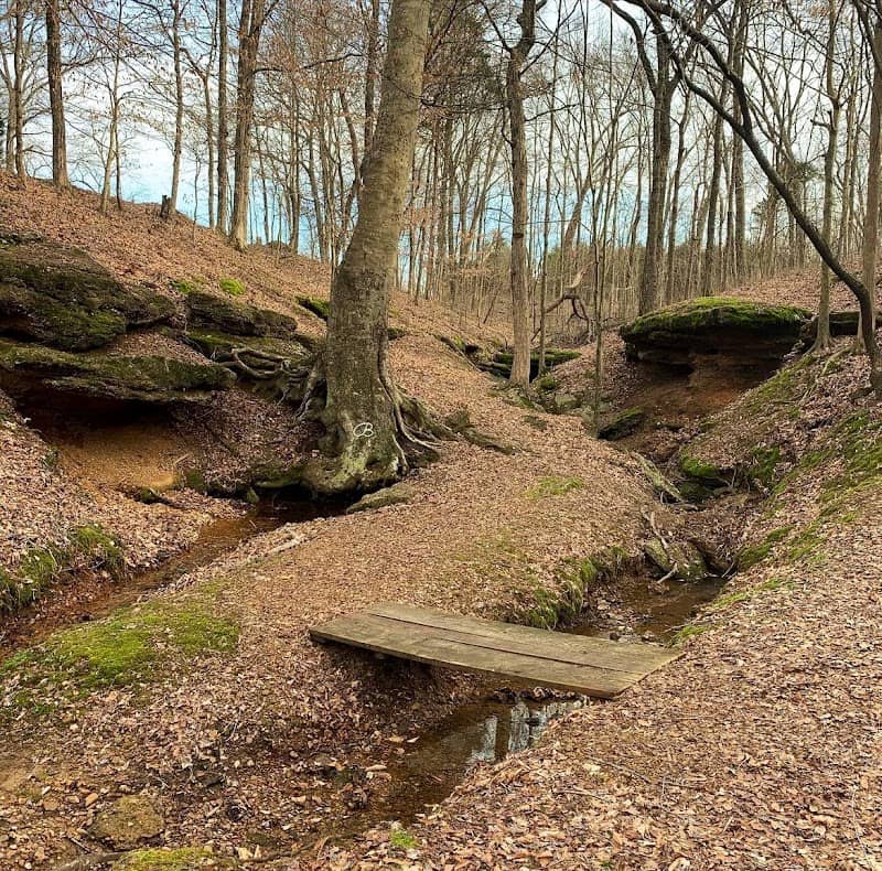 Hale Springs - Image 1