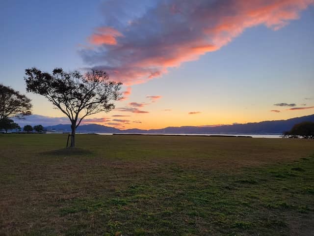 Grass Field - Image 1