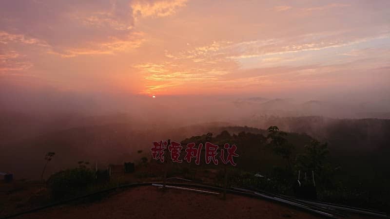 利民达"巫路马华芭"榴莲山 - Image 1