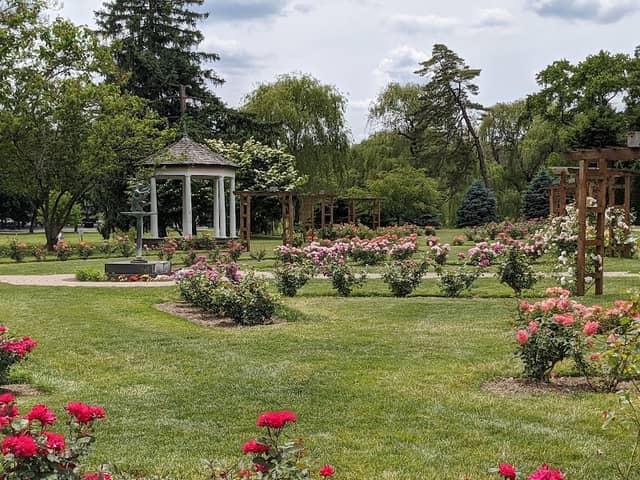 Malcolm Gross Rose Garden - Image 1