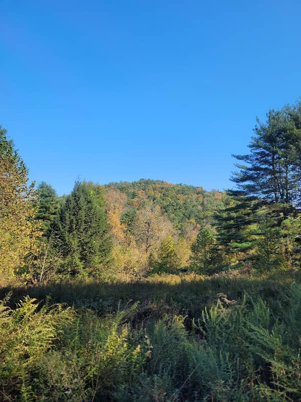 Brodhead Creek Heritage Center - Image 2