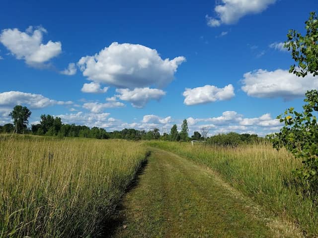 Woolley Park - Image 1