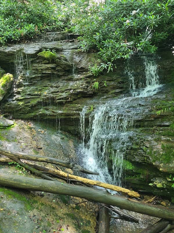 Youngs Falls - Beech Trailhead - Image 1