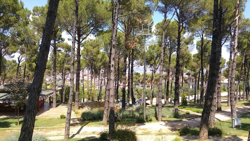 Park - Image 3