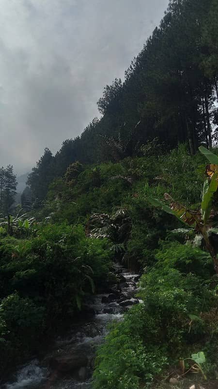Palasari Wild Explorers - Image 1