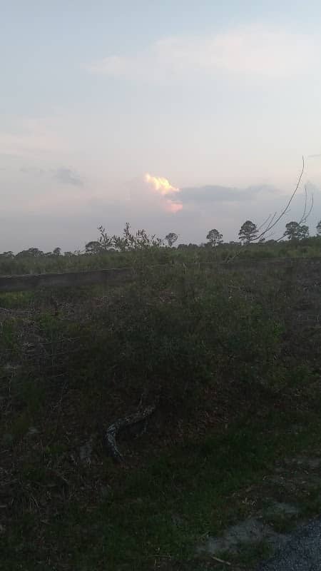 Capon Street Bridge Access Point - Image 2