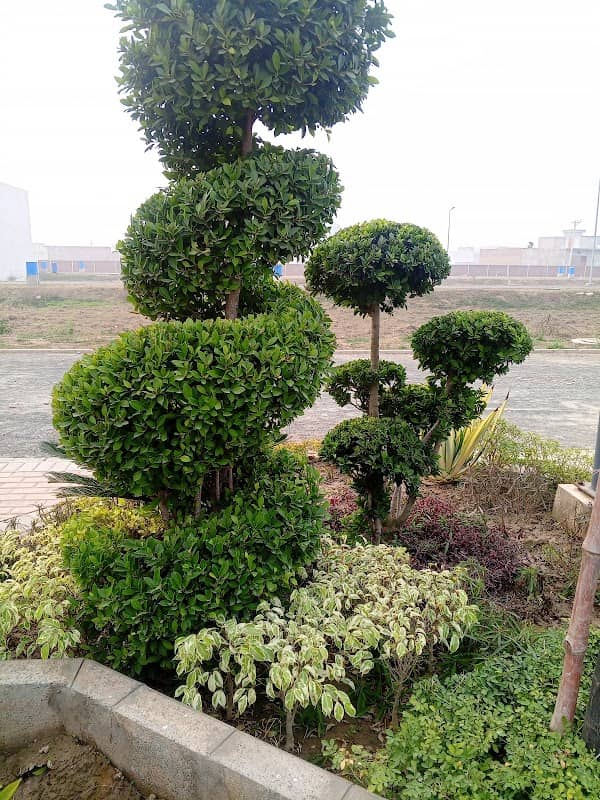 A Block Park - Image 1