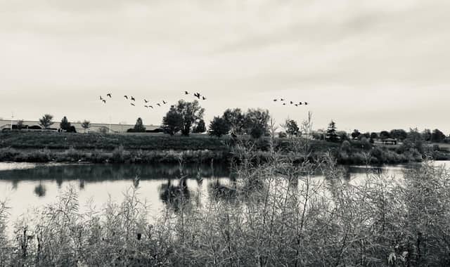 Bergfeld Pond - Image 1