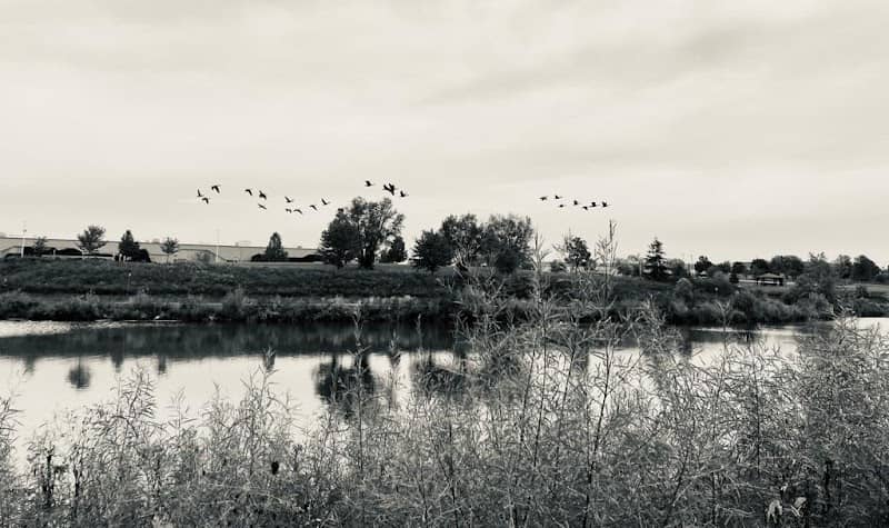 Bergfeld Pond - Image 1