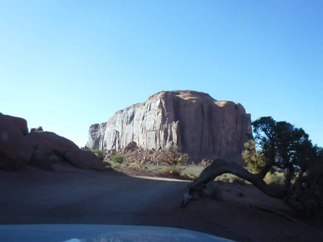 The Thumb - Image 2