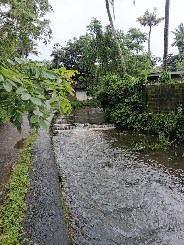 Areekathodu canal - Image 1