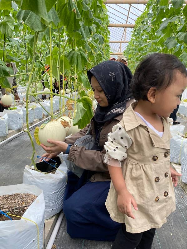 Demaji Melon Garden - Image 1