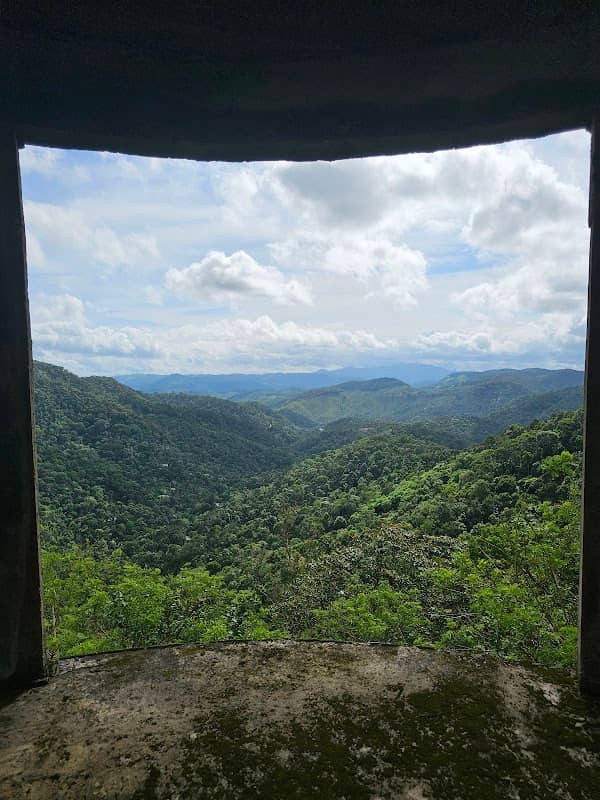 Watch Tower MCM - Image 2