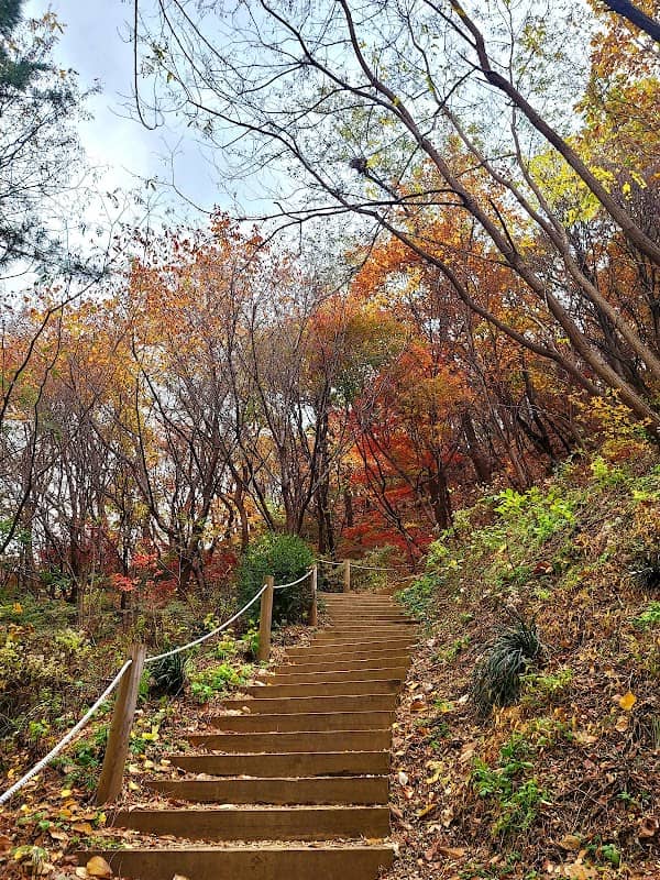Seoripul Park - Image 1