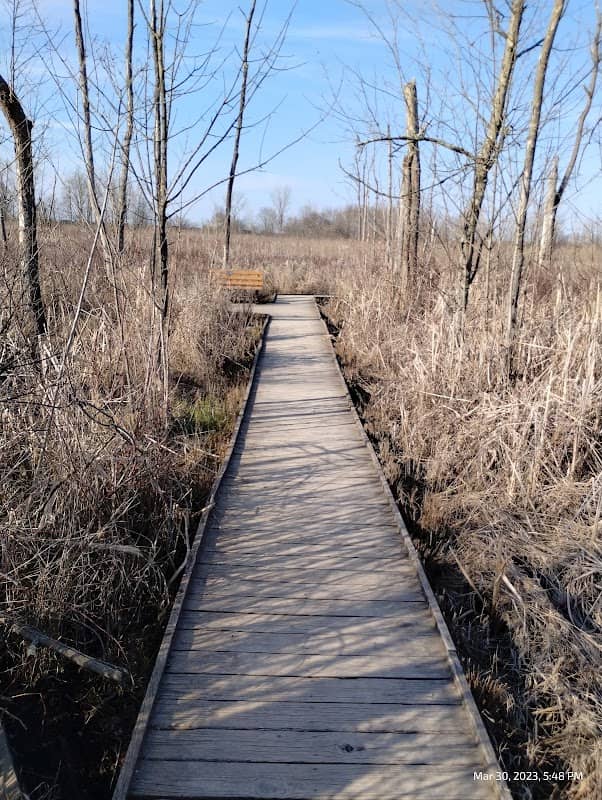 Beaver Lodge - Image 1