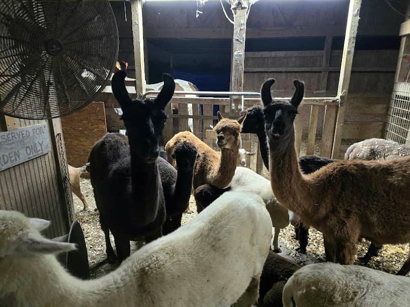 Goula Paradise Farms - Image 2