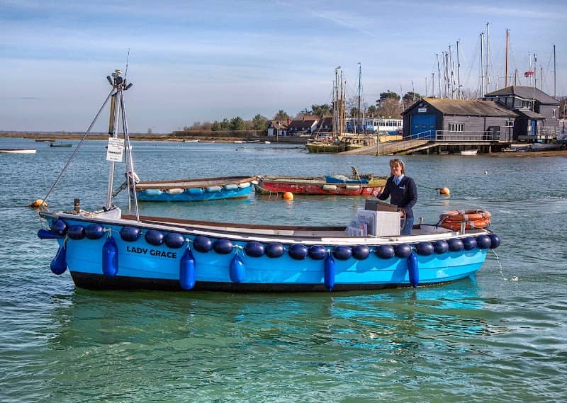 Essex Boat Trips - Image 1