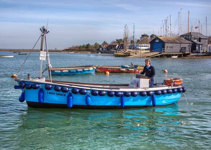 Essex Boat Trips - Image 2
