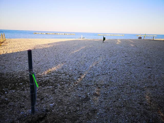 Spiaggia per cani - Image 1