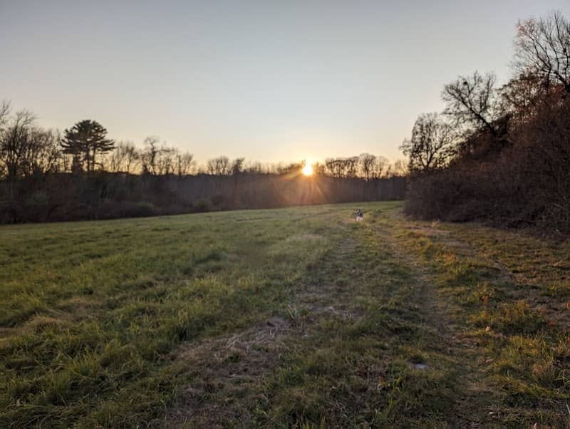 Felton Conservation Area - Image 2
