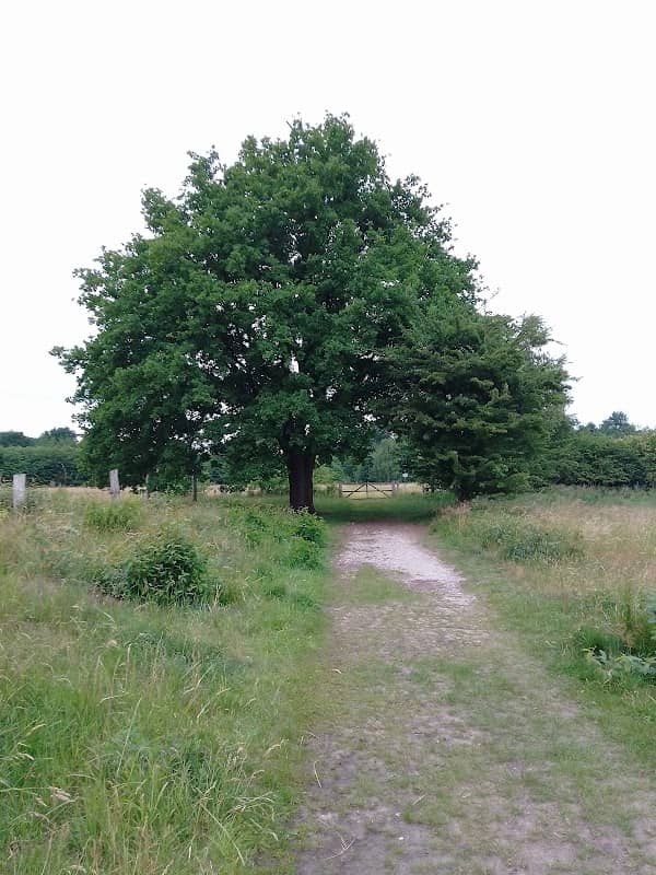 Rieselfelder Nature Reserve - Image 1