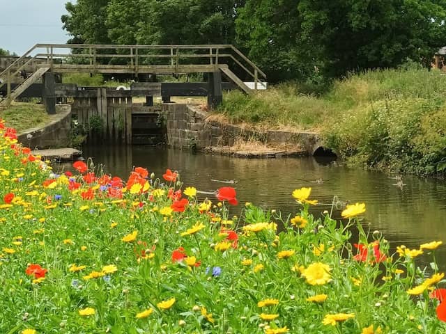 Burscough Canal way - Image 1