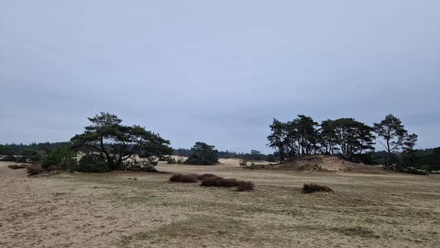 Hulshorsterzand heuvel - Image 1