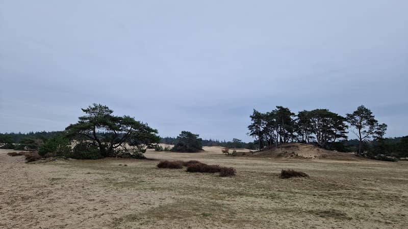 Hulshorsterzand heuvel - Image 1