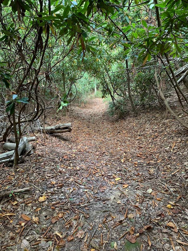 Polls Plateau Trailhead - Image 1