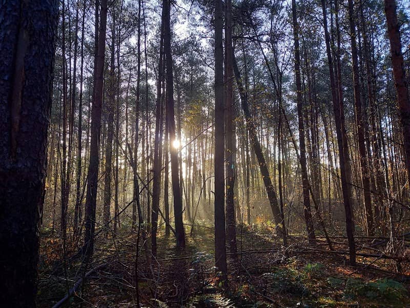 Panbos Zandheuvel - Image 2