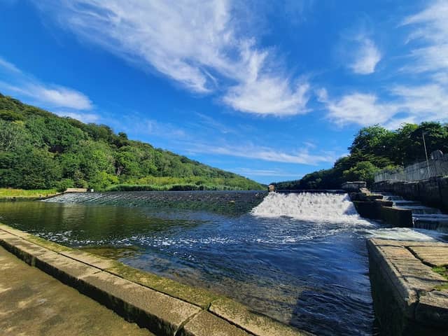 Lopwell Dam - Image 2