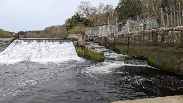 Lopwell Dam - Image 1