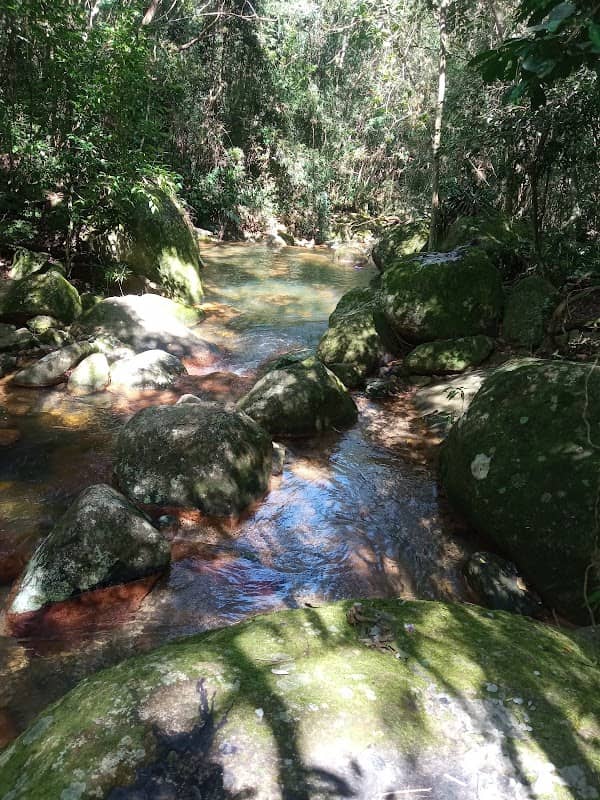 Trilha Monte Verde até Costa da Lagoa - Image 1