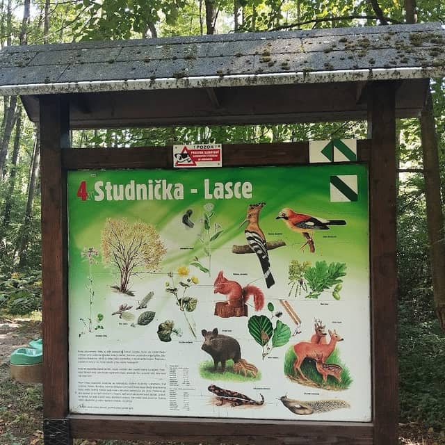 Natural water spring Lasce - Image 1