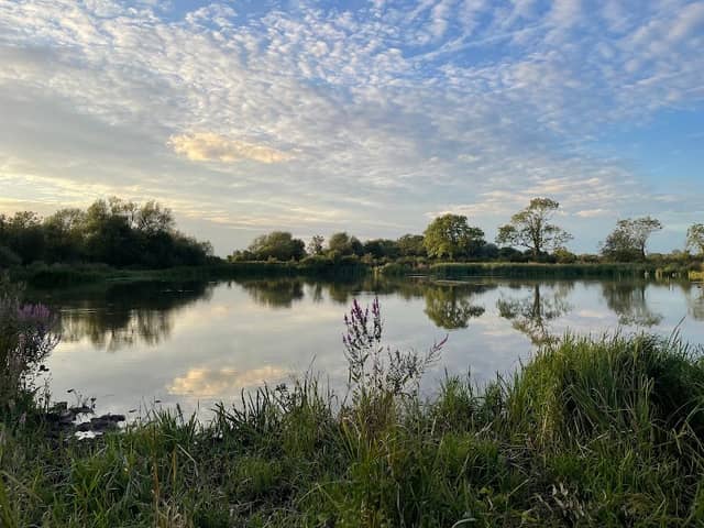 Upper Marsh - Image 2
