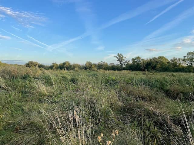 Upper Marsh - Image 1