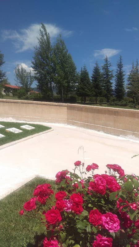 Yeşil Alan - Image 1