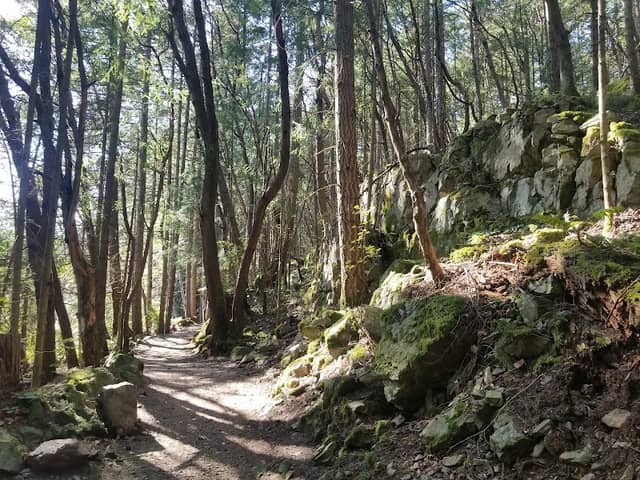 Lost Lake Trail - Image 2