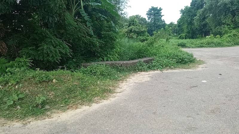 TRP PATH - Image 1