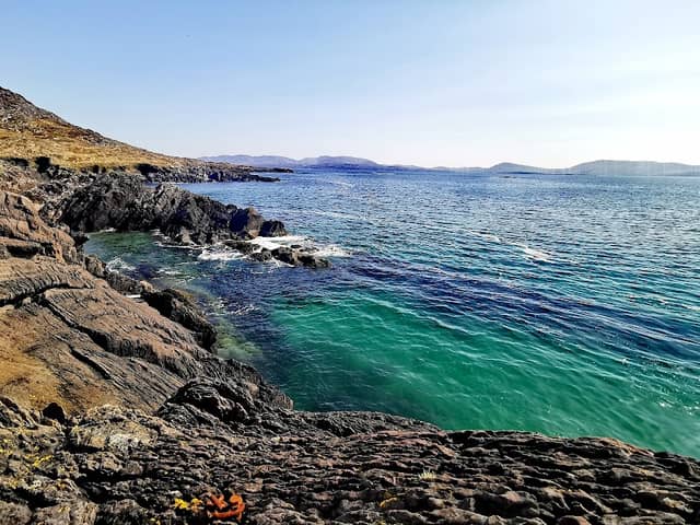 The Cove - Image 1